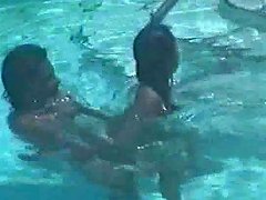 Amateur Couple On Swimingpool Free Pool Porn D3 Xhamster